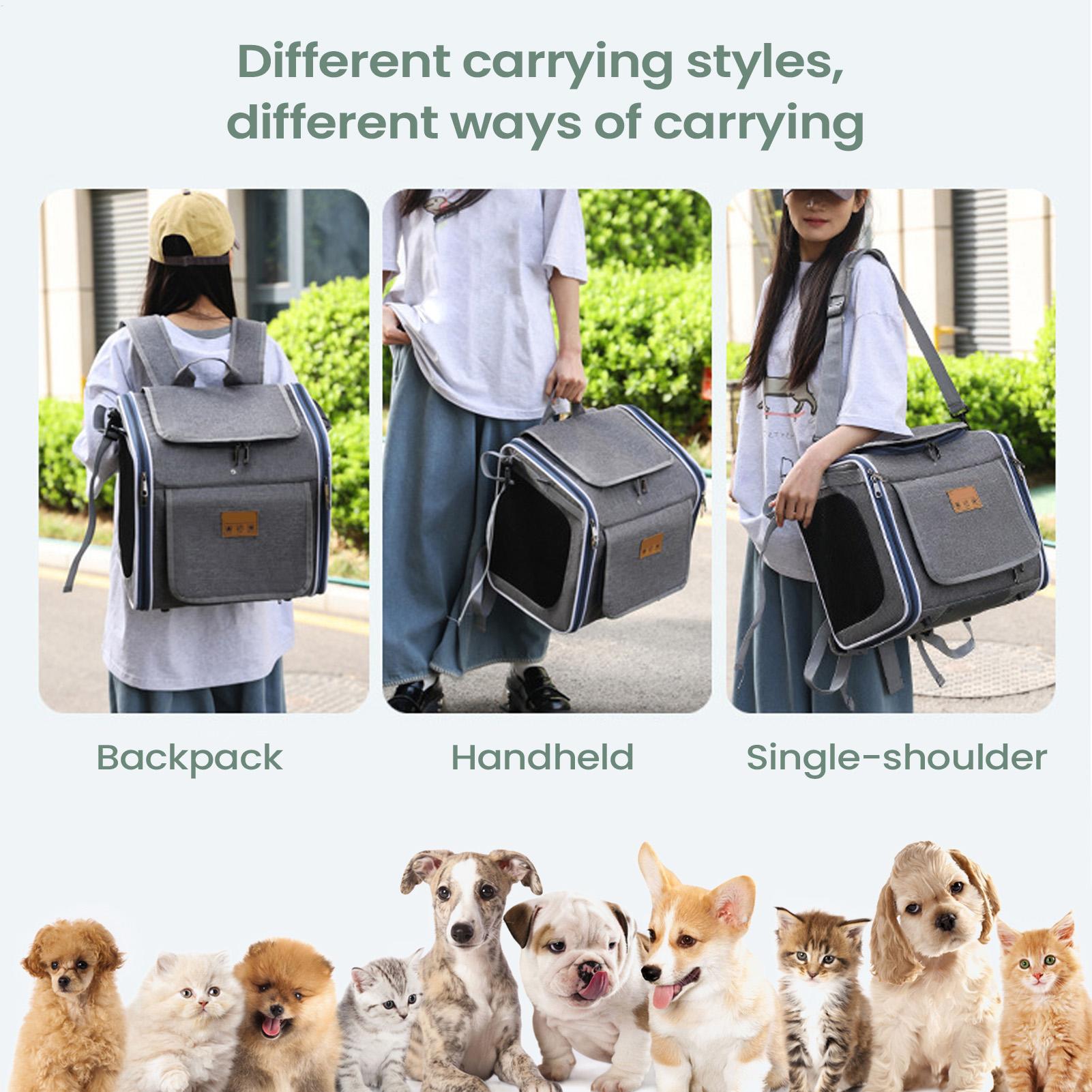Panier de vélo pour chien, sac - Urban Outdoor Camping avis et prix